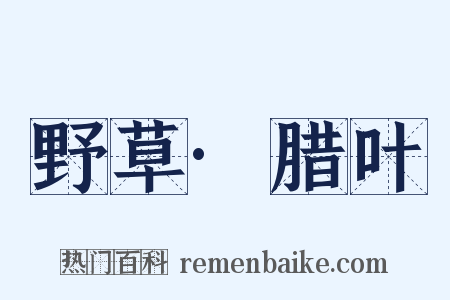 野草·腊叶是什么意思的图片